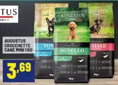 Crocchette Cane Mini