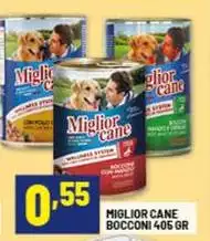 Morando - Miglior Cane Bocconi