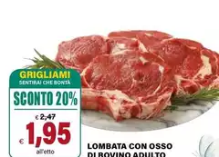 Lombata Con Osso Di Bovino Adulto