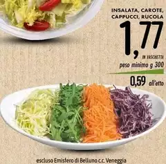 Insalata, Carote, Cappucci, Rucola