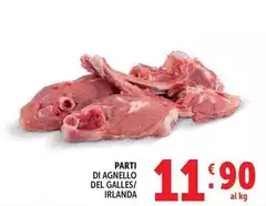 Parti Di Agnello Del Galles/ Irlanda Parti Di Agnello Del Galles/ Irlanda