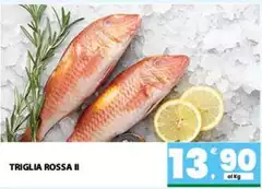 Triglia Rossa Ii