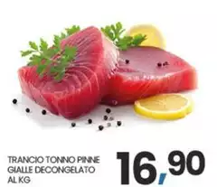 Trancio Tonno Pinne Gialle Decongelato Trancio Tonno Pinne Gialle Decongelato