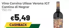 Cantina valpolicella negrar - Vino Corvina Ulisse Verona IGT Cantina valpolicella negrar - Vino Corvina Ulisse Verona IGT