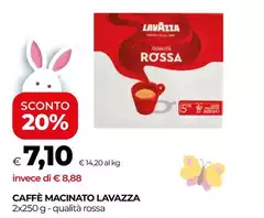 Lavazza - Caffè Macinato Lavazza - Caffè Macinato
