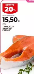 Trancio Di Salmone Fresco Trancio Di Salmone Fresco