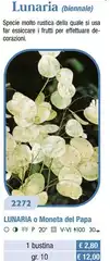 Lunaria (Biennale) Lunaria (Biennale)