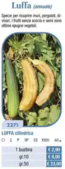 Luffa (Annuale) Luffa (Annuale)