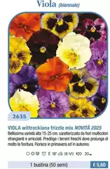 Viola (Biennale) Viola (Biennale)