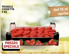 Fragole Cassetta 1 Kg