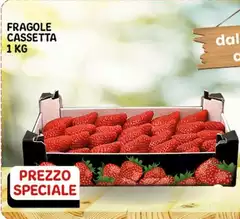 Fragole Cassetta 1 Kg