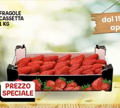 Fragole Cassetta 1 Kg