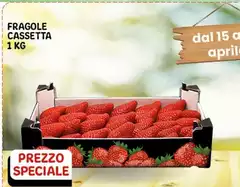 Fragole Cassetta 1 Kg