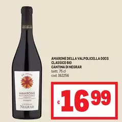 Cantina valpolicella negrar - Amarone Della Valpolicella DOCG Classico Bio