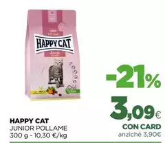 Happy -  Cat Junior Pollame