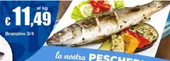 Branzino 3/4 Branzino 3/4