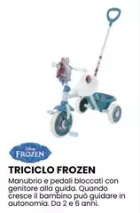 Guida - Triciclo Frozen Guida - Triciclo Frozen