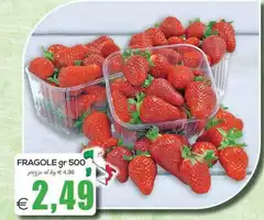 Fragole