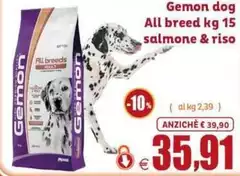 Gemon - Dog All Breed Gemon - Dog All Breed