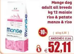 Monge - Dog Adult All Breeds Monge - Dog Adult All Breeds