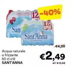 Sant'anna - Acqua Naturale O Frizzante Sant'anna - Acqua Naturale O Frizzante