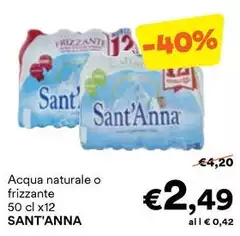Sant'anna - Acqua Naturale O Frizzante Sant'anna - Acqua Naturale O Frizzante