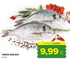 Orata 400/600