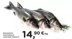Branzino Nazionale 400/600 Fresco Branzino Nazionale 400/600 Fresco