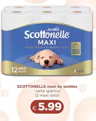 Scottex - Maxi By  Carta Igienica