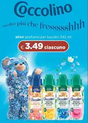 Coccolino - Occolino