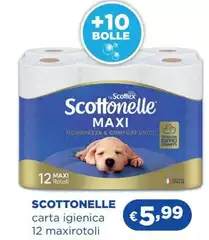Scottex - Carta Igienica 12 Maxirotoli