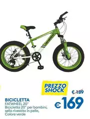 Bicicletta Fatwheel 20''