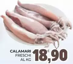 Calamari Calamari