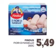 Findus - Fiori Di Nasello Findus - Fiori Di Nasello
