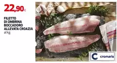 Cromaris - Filetto Di Ombrina Boccadoro Allevata Croazia Cromaris - Filetto Di Ombrina Boccadoro Allevata Croazia