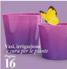 Vasi, Irrigazione E Cura Per Le Piante