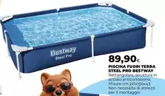 Bestway - Piscina Fuori Terra