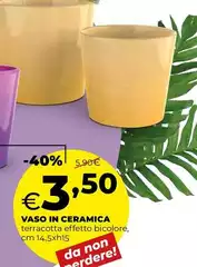 Vaso In Ceramica