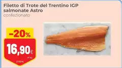 Trentino - Filetto Di Trote Del IGP Salmonate Astro Trentino - Filetto Di Trote Del IGP Salmonate Astro