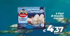 Findus - 5 Fiori Di Nasello