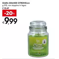 Magic Lights - Grande Citronella Magic Lights - Grande Citronella