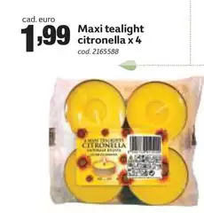 Maxi -  Tealight Citronella X 4