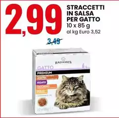Radames - Straccetti In Salsa Per Gatto