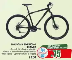 Denver - Mountain Bike Uomo