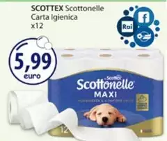 Scottex - Scottonelle Carta Igienica Scottex - Scottonelle Carta Igienica