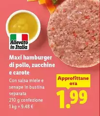 Maxi Hamburger Di Pollo, Zucchine E Carote