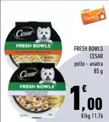 Cesar - Fresh Bowls
