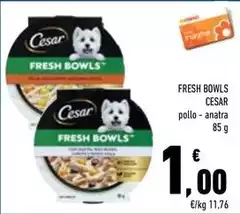 Cesar - Fresh Bowls
