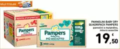 Pampers - Pannolini Baby Dry Quadripack