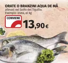 Aqua De Mâ - Orate O Branzini 